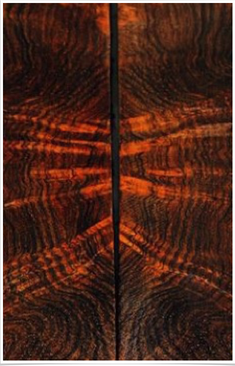 Cocobolo Cocobolo
